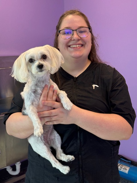 Groomer with dog