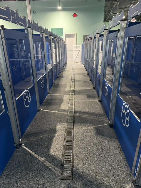 Boarding kennels of Tiki Tails