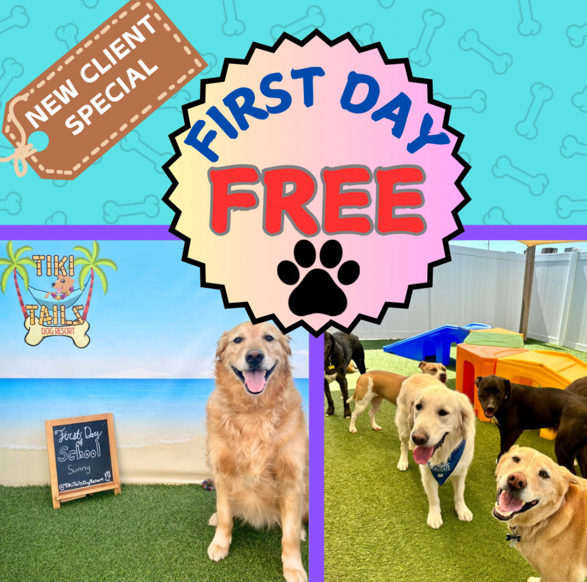 New Client Special at Tiki Tails Dog Resort